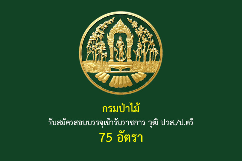 กรมป่าไม้ รับสมัครสอบบรรจุเข้ารับราชการ วุฒิ ปวส./ป.ตรี 75 อัตรา