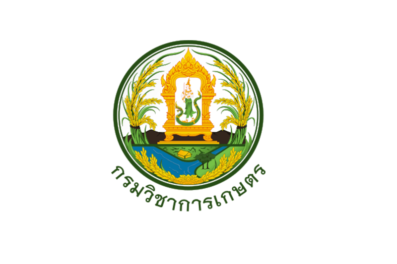 กรมวิชาการเกษตร (สวพ. 4) เปิดรับสมัครเพื่อเลือกสรรพนักงานราชการทั่วไป ปริญญาตรี/ทุกสาขาสมัคร 28 กันยายน – 2 ตุลาคม 2569